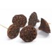 LOTUS PODS PICKED Natural (BULK)- SMALL 2-3"